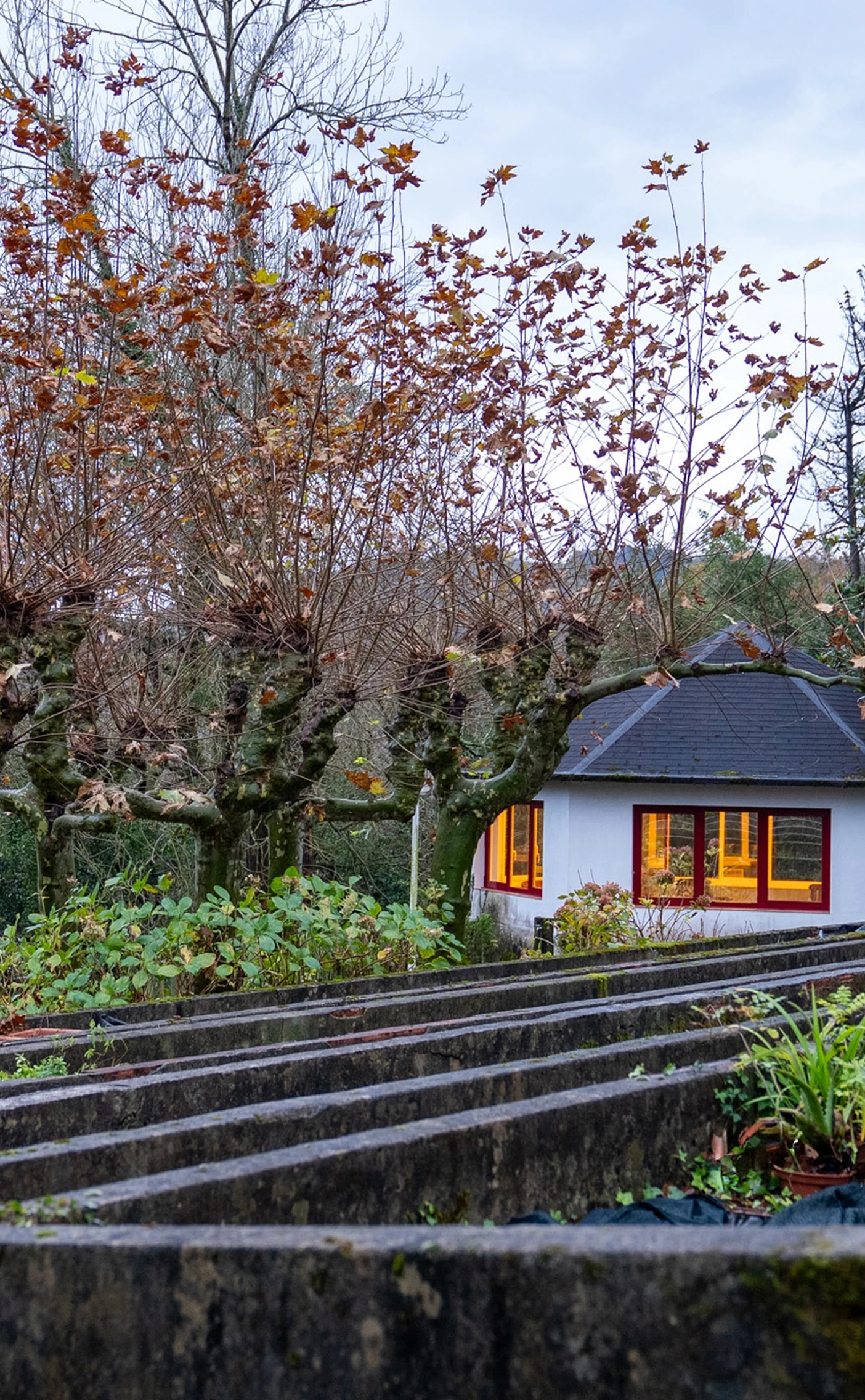 Imagen de un centro de mentalia.